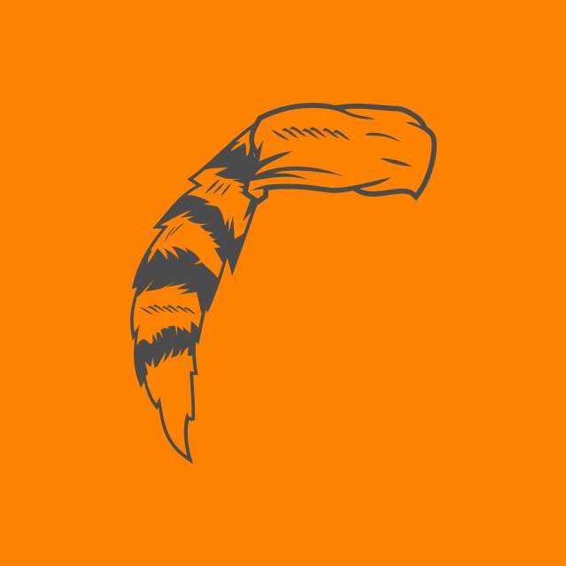 Icon of Raccoon Skin Cap