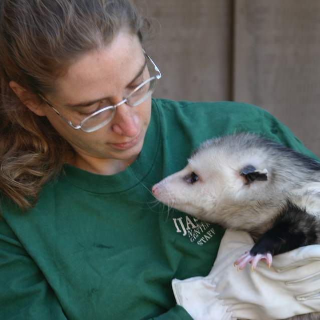 Ijams Animal Sanctuary