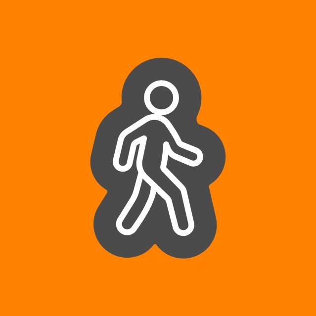 Walking Person Icon