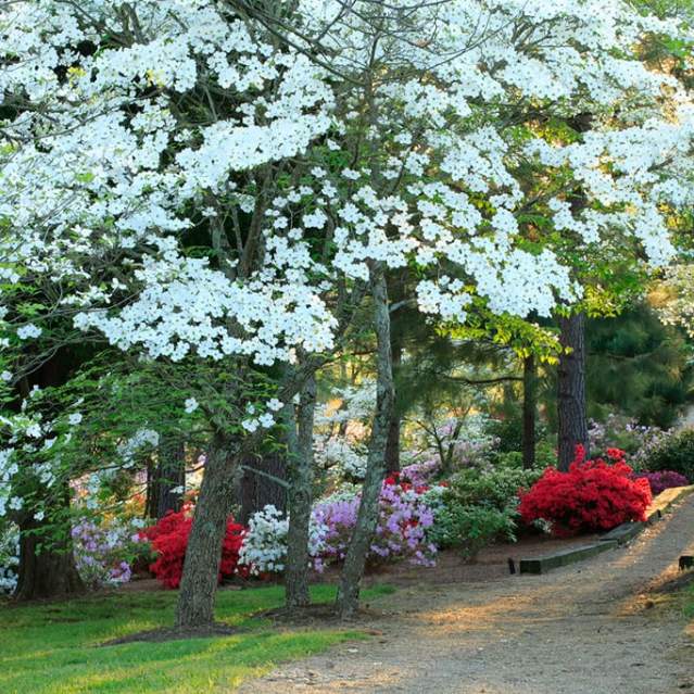 Baxter Gardens