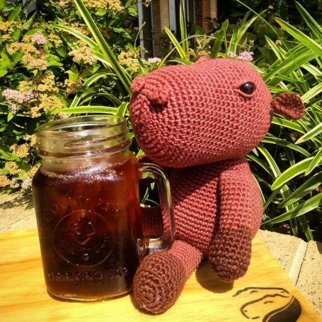 Capybara Coffee