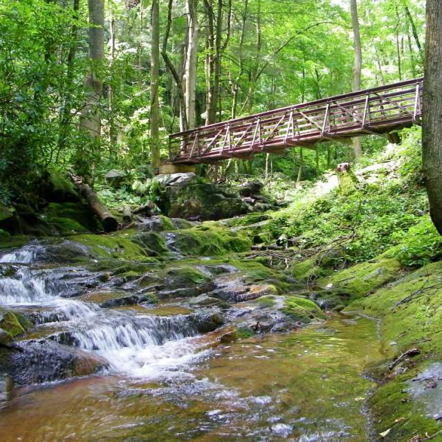 Bridge over a creek in the Cherokee National Forest