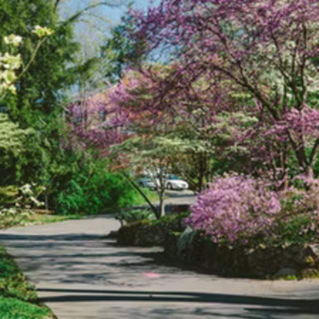Dogwood Arts Trail
