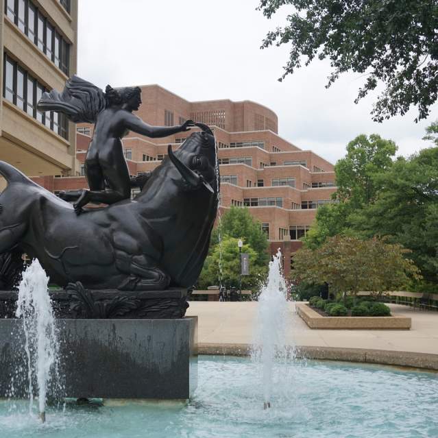 Europa and the Bull at UT
