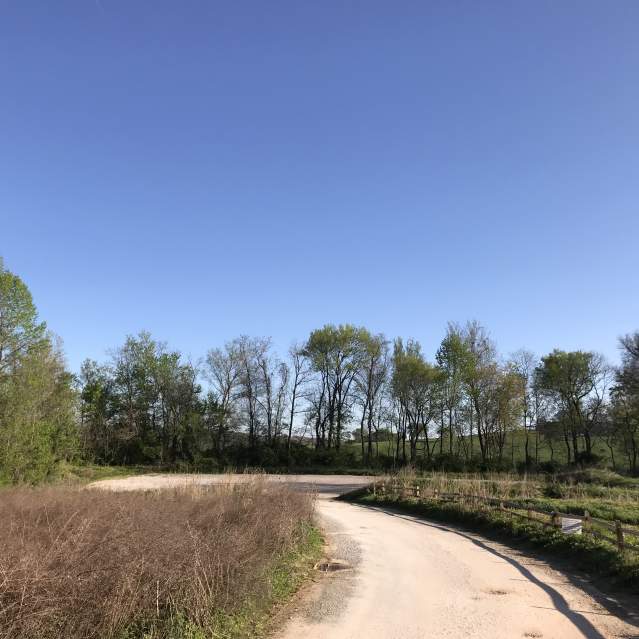 Forks of the River Wildlife Management Area, McClure Lane