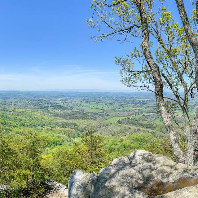 House Mountain State Natural Area