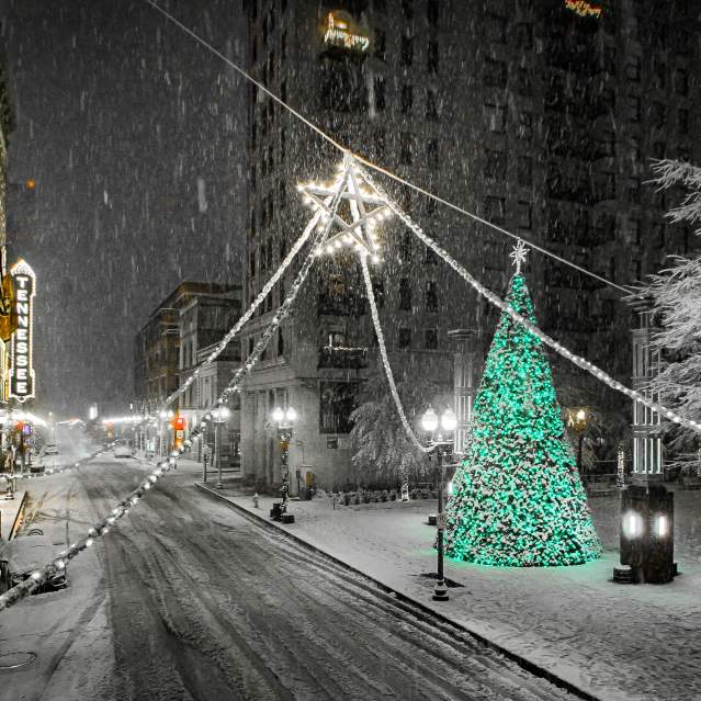 Christmas Photo Bruce McCamish