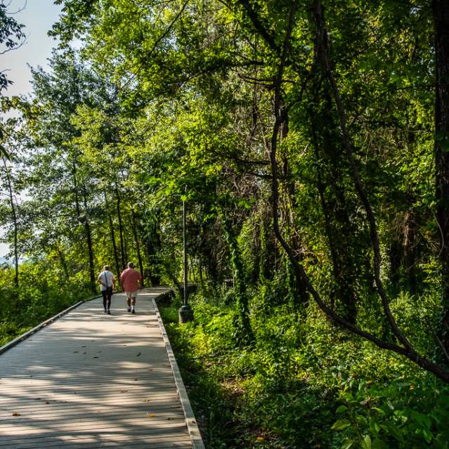 Lakeshore Park