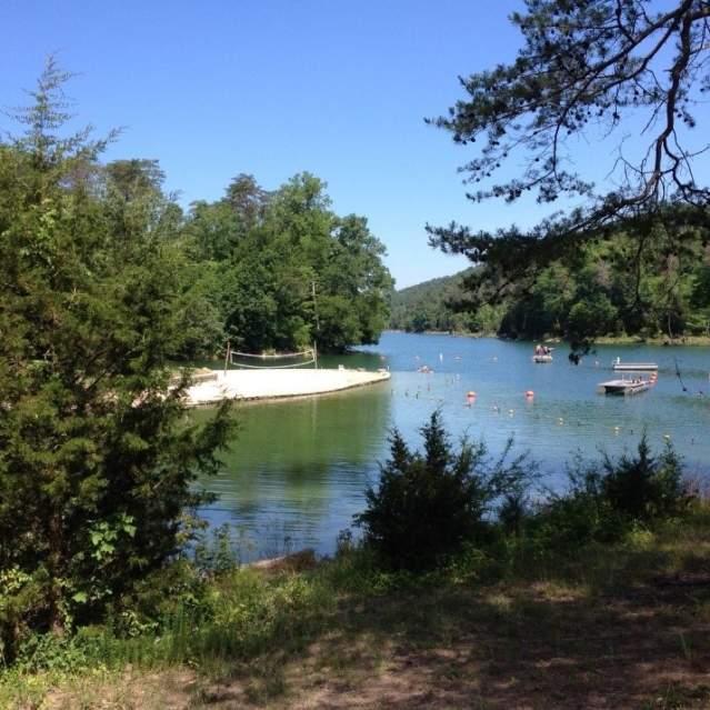 Pantoon boats at a cove on Norris Lake in Knoxville, TN