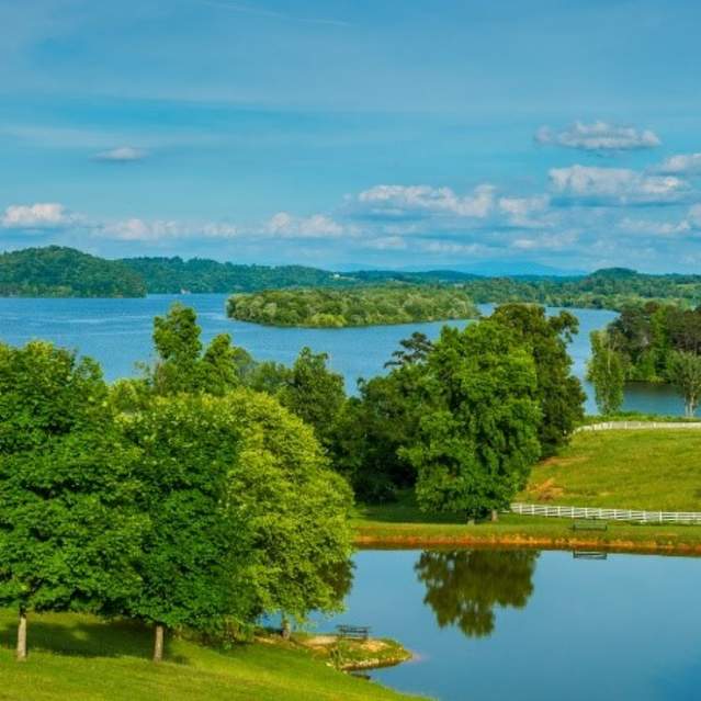 Aerial view of waterway and trees at Watts Bar Lake