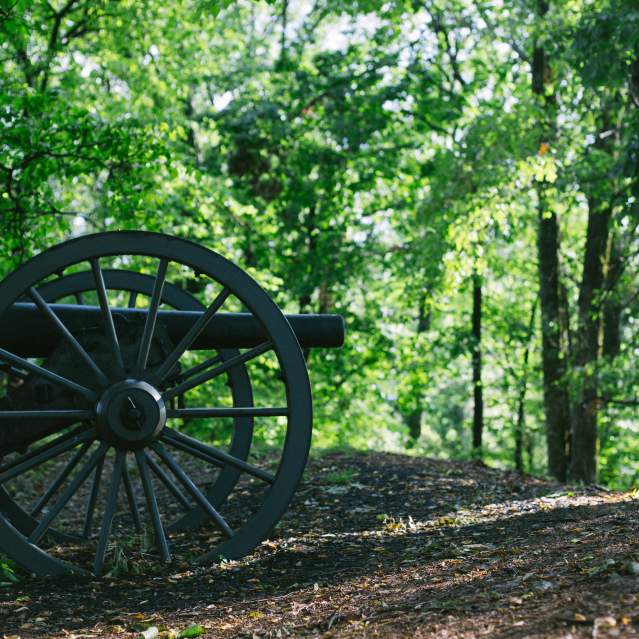 Fort Dickerson Park