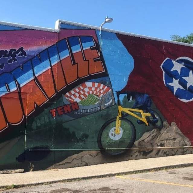 Tennessee State Flag Mural