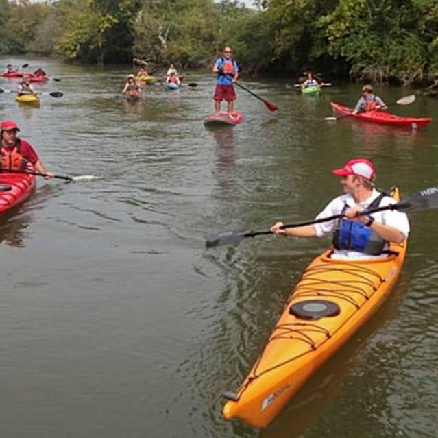 Beginner Kayaking in Knoxville
