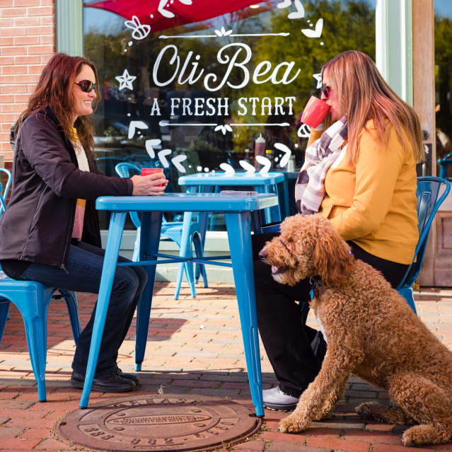 Oli Bea Exterior