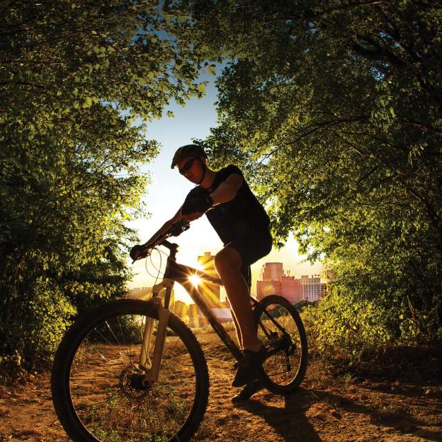 Biking through the forests surrounding Knoxville is an amazing adventure through nature.