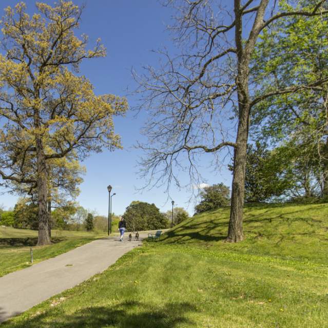 Woman walking her dogs along the Lakeshore Greenway