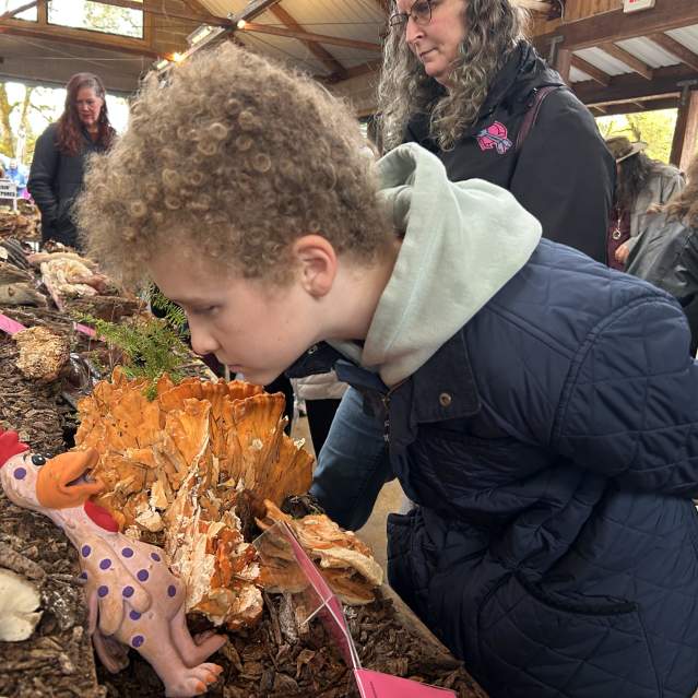 Exploring Mushrooms in Eugene