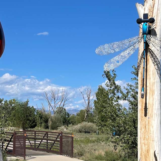 Lady bug and dragonfly sculptures