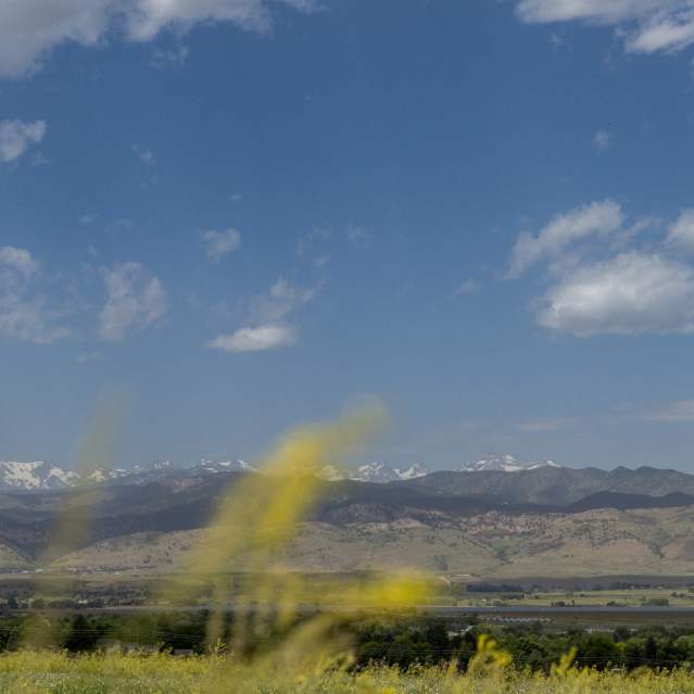 Mountain and field