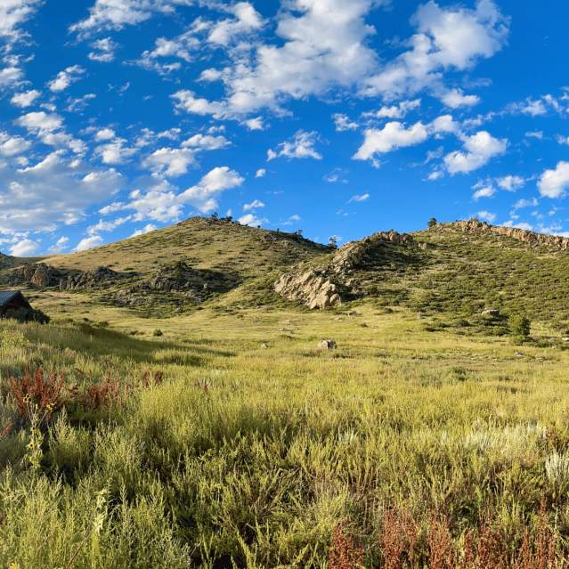 Mountainside