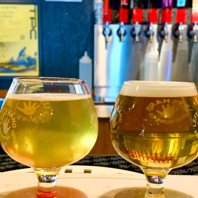 Left Hand brewery tasting