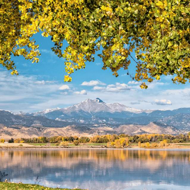 Long's Peak with Trees framing image