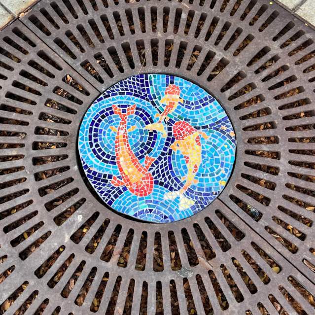 Mosaic Fishes