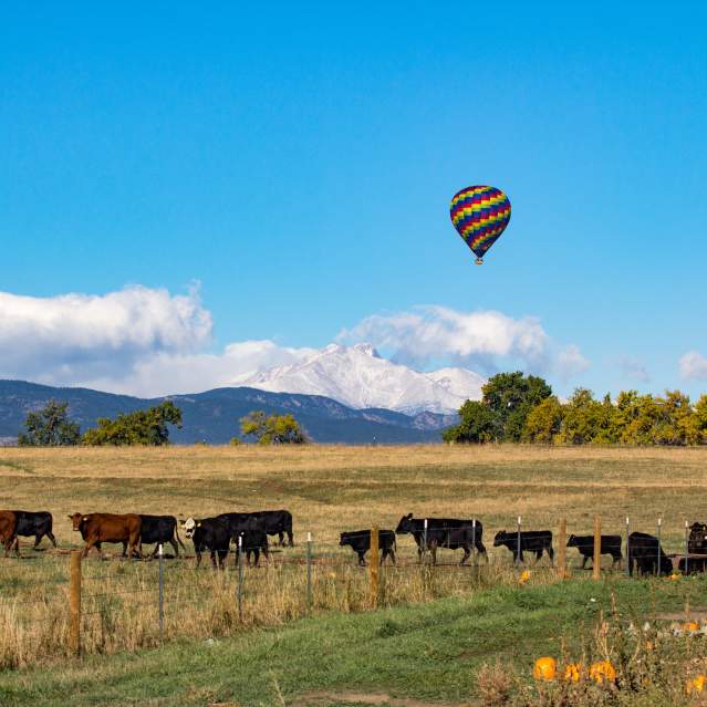 Landscape with hot air balloon