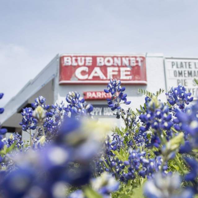 Blue Bonnet Cafe and flowers