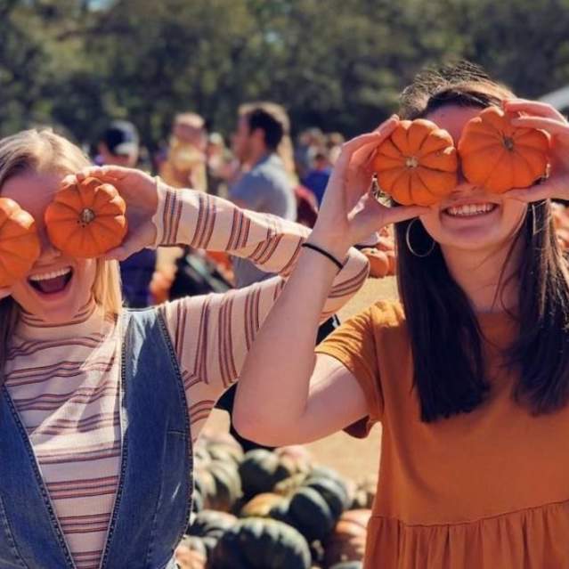 Sweet-Berry-Farm-Pumpkin-Patch