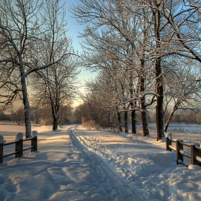 Winter trail