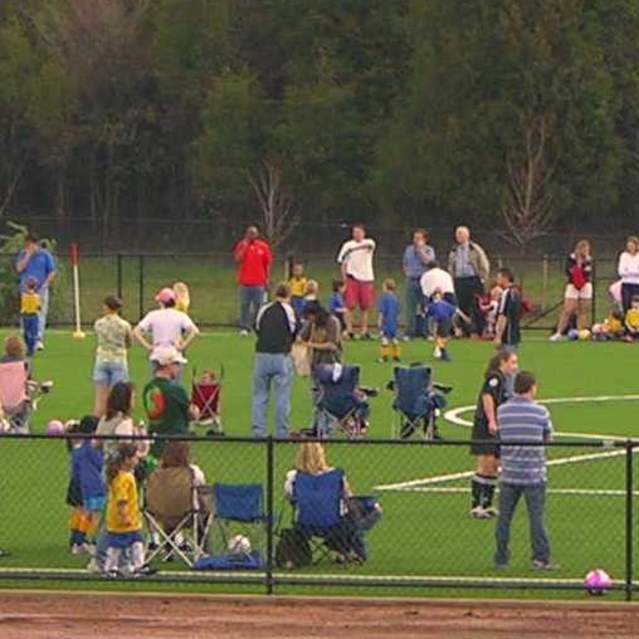 Groups of families on a field