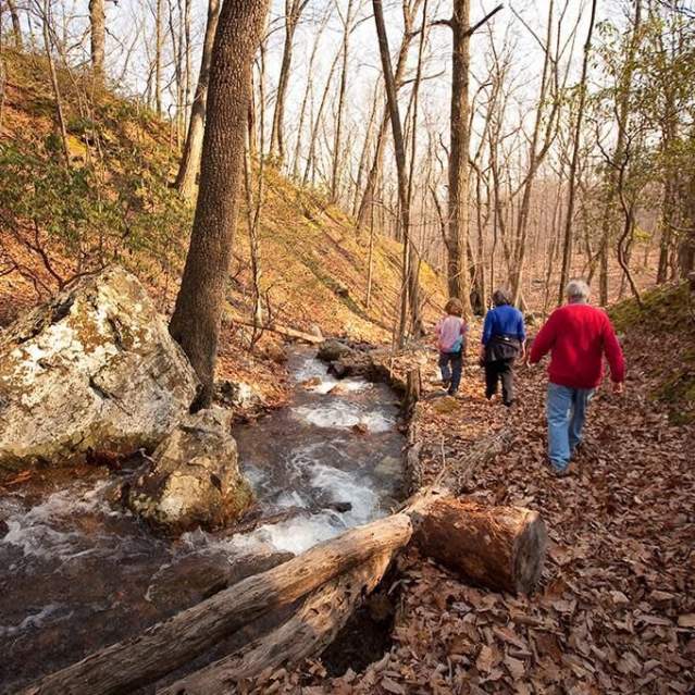 Start 2026 on the Right Foot: Join the First Day Hike in Prince William, Virginia