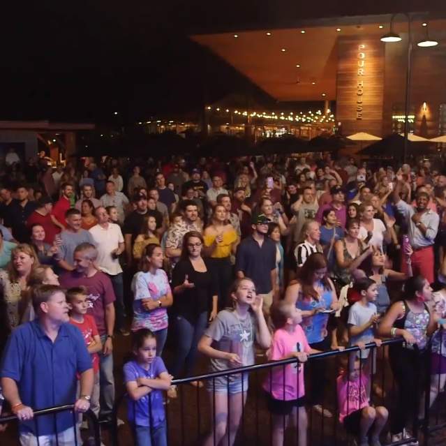 crowd of people at a concert at night