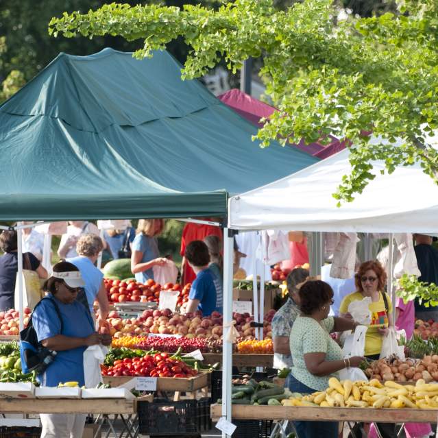 tents at a farmers market, there are people shopping, under the tents are shoppers and colorful fruits and vegetables