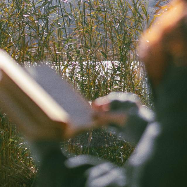 Unplug & Recharge: A Nature-First Electronic Detox in Prince William, Virginia