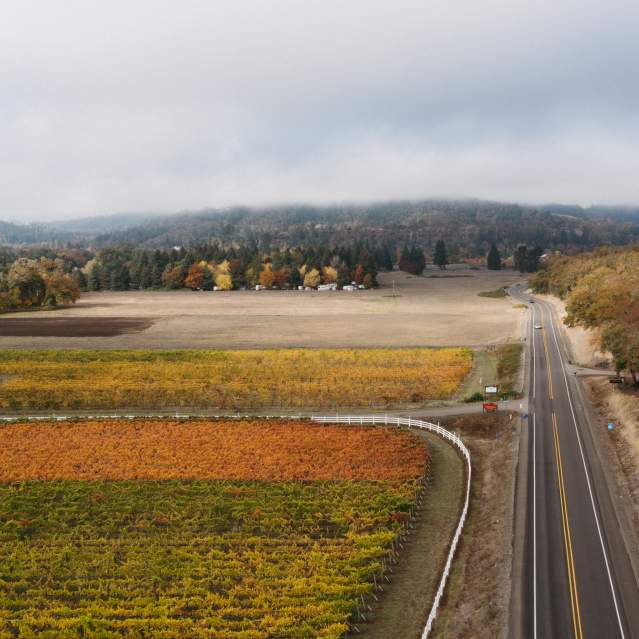 fall aerial