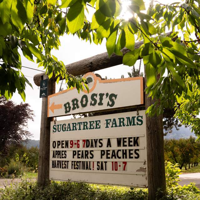 Brosi's Sugartree Farms
