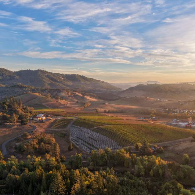 Oregon Winery