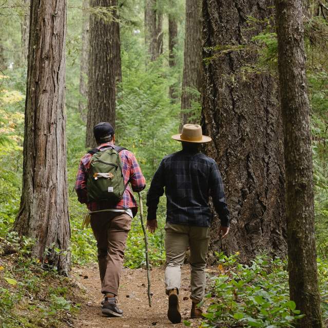Hiking in the Umpqua National Forest