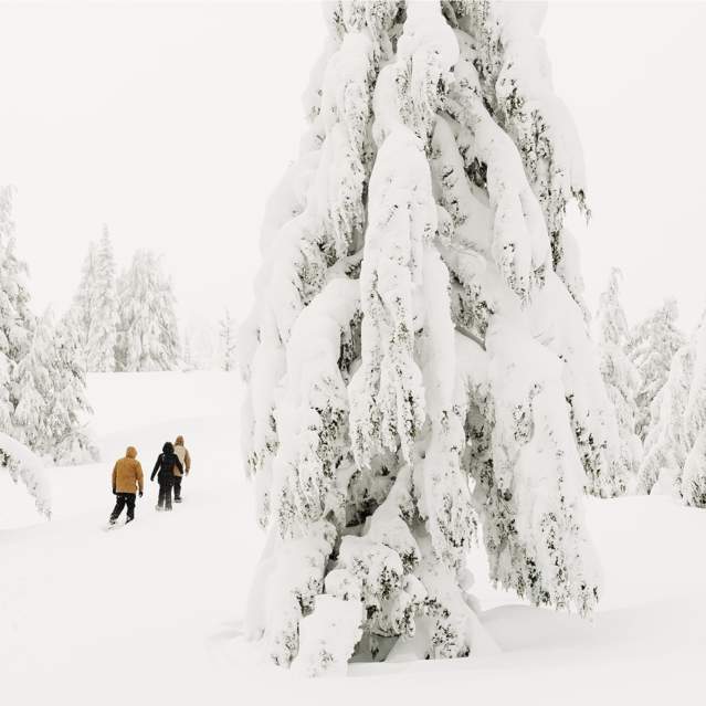 Winter Snowshoe