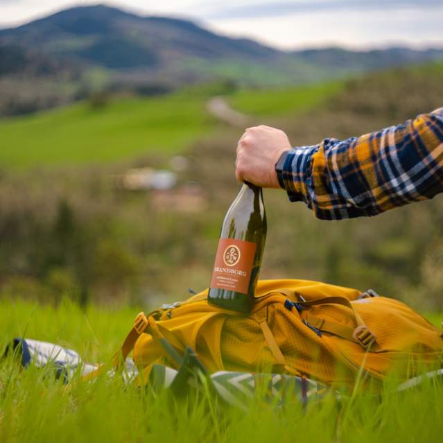 Brandborg Vineyard & Winery