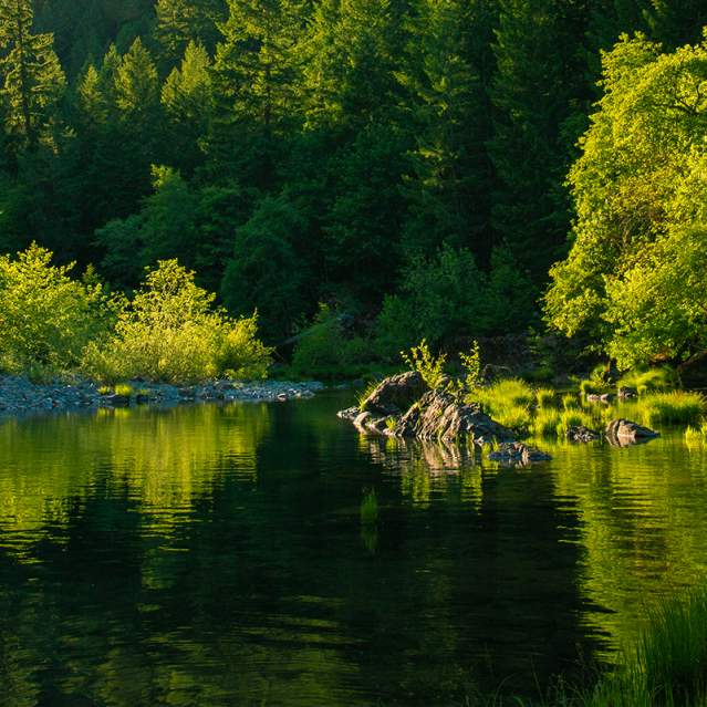 Umpqua River