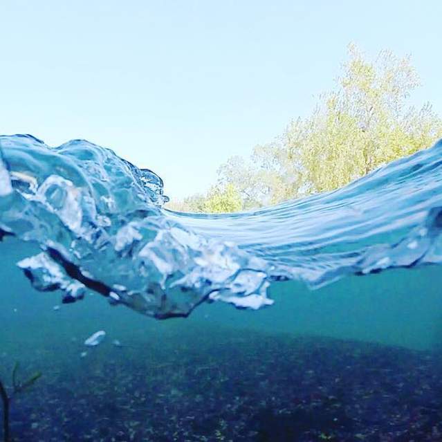 An underwater view of the crystal-clear San Marcos River