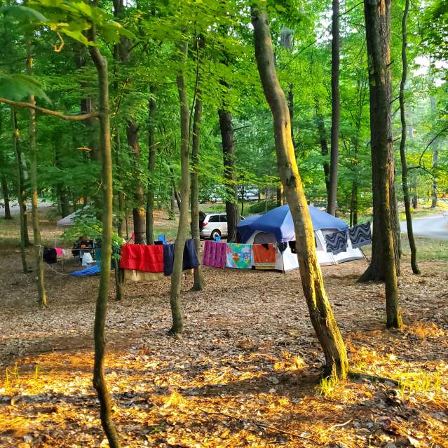 Campground - Kohler-Andrae State Park