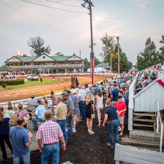 Horse Show spectators