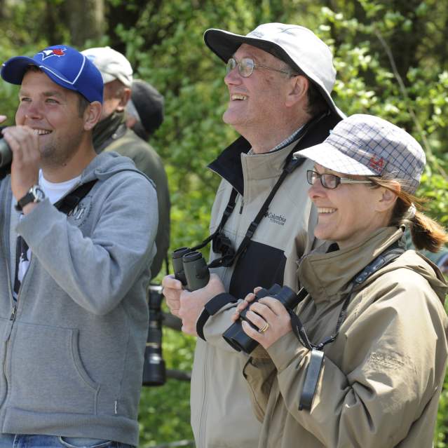 3 people birding at Rondeau