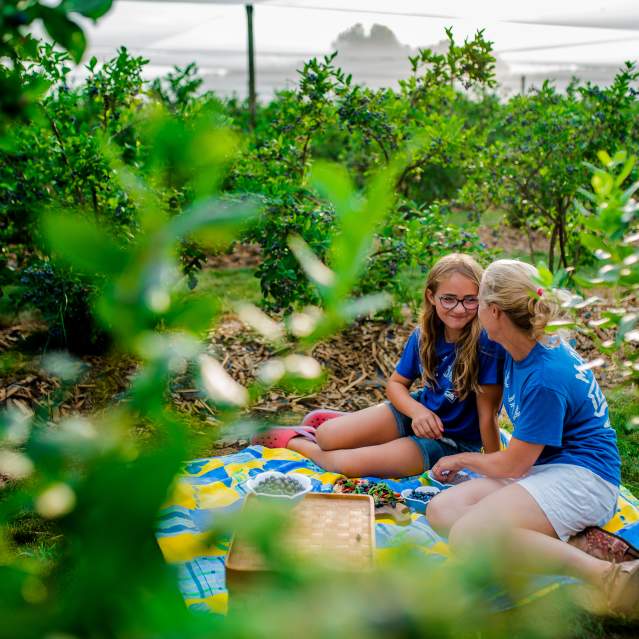 Picnics in the Patch Experience by Berrylicious Fruit Farm