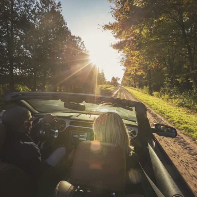 Fall Drive