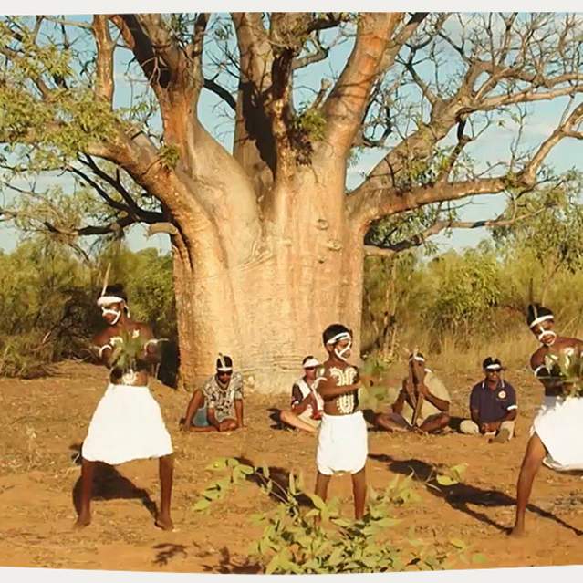Warrwany Cultural Tours